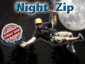 Night Zip Tour